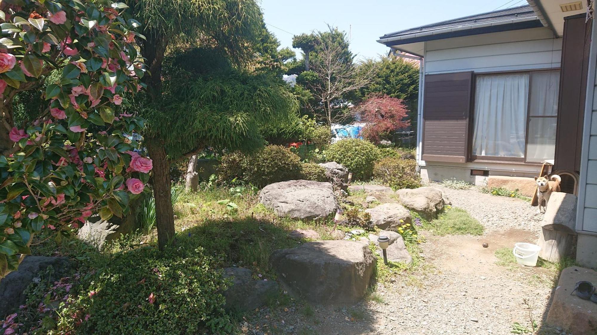 T&T Fujiyama Guest House Fujiyoshida Exterior photo